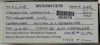 Image Associated With the Occurence